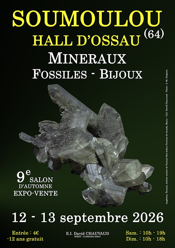 9ª Mostra di Minerali, Fossili e Gioielli