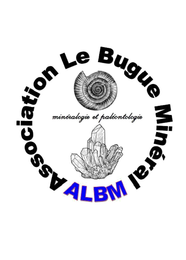 Scambio di minerali e fossili