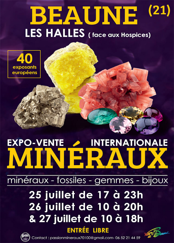 Fiera dei minerali e dei fossili