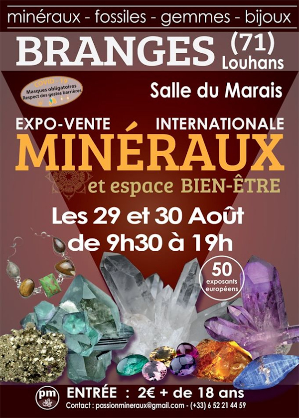 Prima vendita di mostre espositive di minerali da Branges