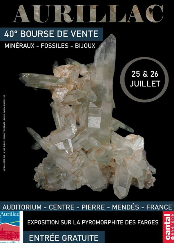 40a borsa di studio con minerali fossili e gioielli