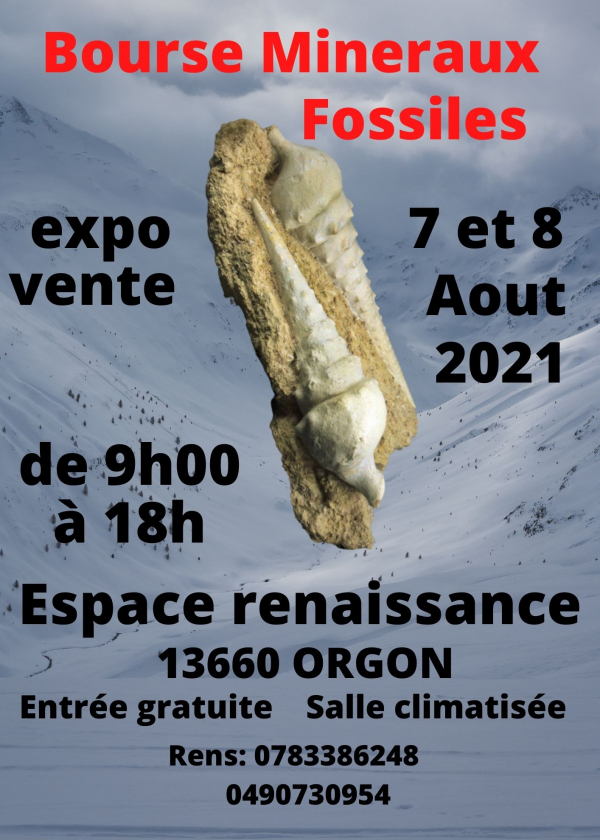 5 ° scambio di minerali fossili Orgon