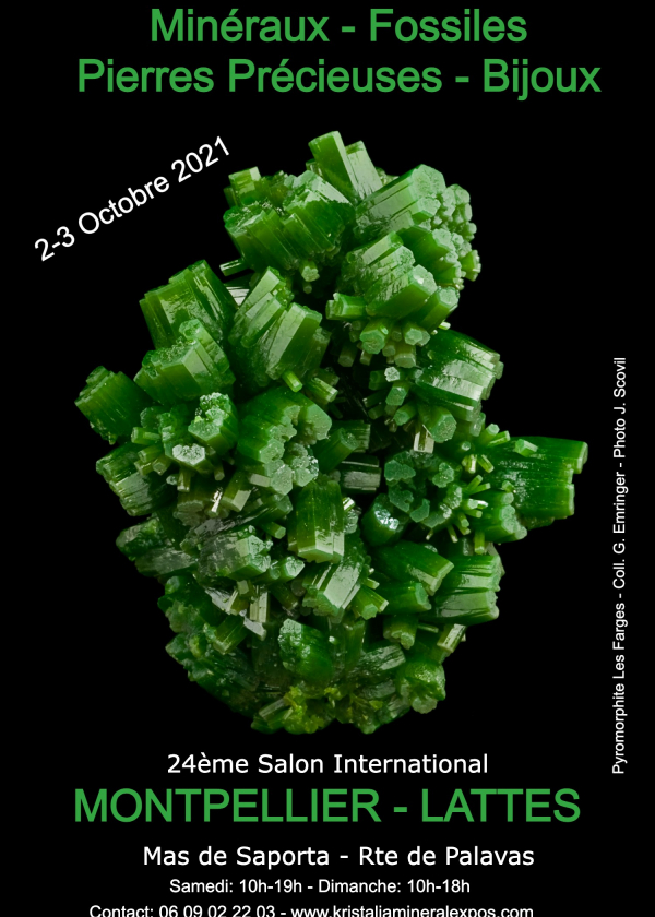 24a fiera internazionale della gioielleria dei minerali fossili