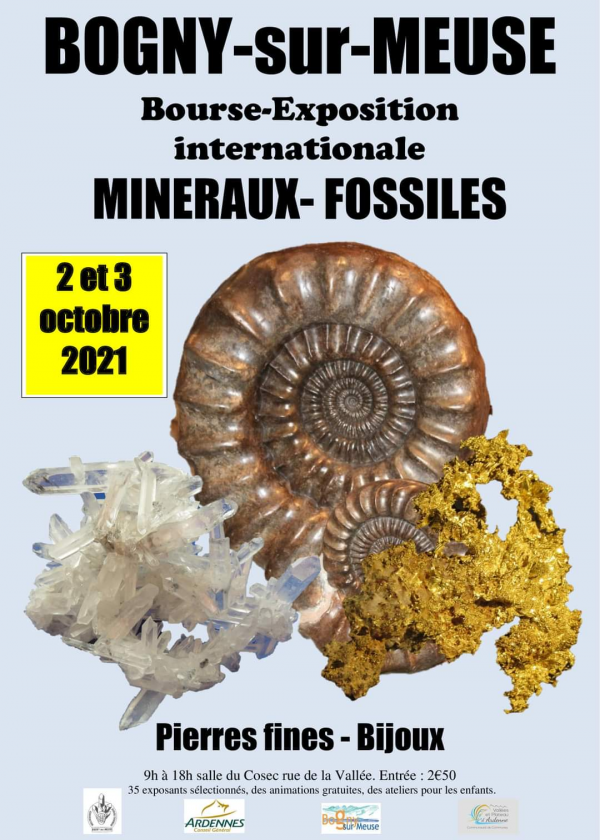 Fellowship della mostra internazionale dei minerali fossili