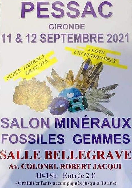 Fiera dei minerali fossili delle pietre preziose