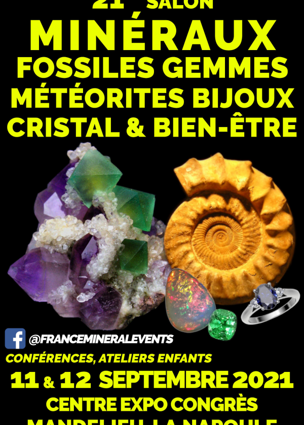 21a Fiera delle gemme dei minerali fossili