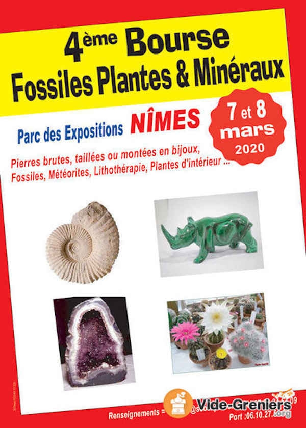 Quarto scambio di fossili, piante e minerali