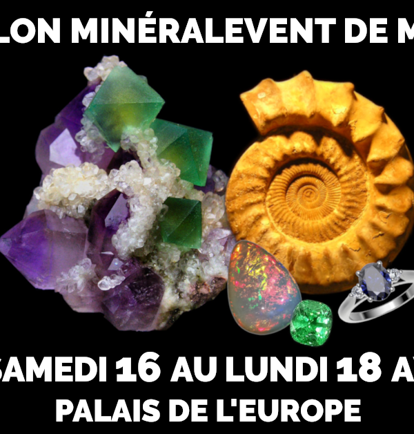 20° Evento Minéral Mentone - Minerali, fossili, gemme, gioielli, cristalli e benessere