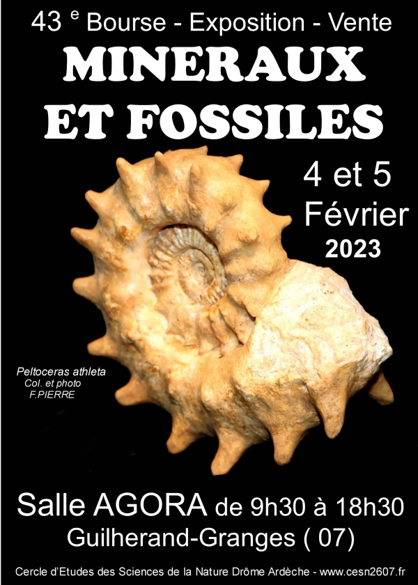 43° scambio di minerali e fossili di Guilherand-Granges