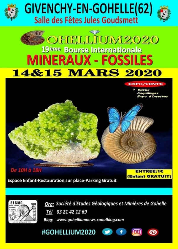 XIX scambio internazionale Gohellium 2020 di minerali fossili