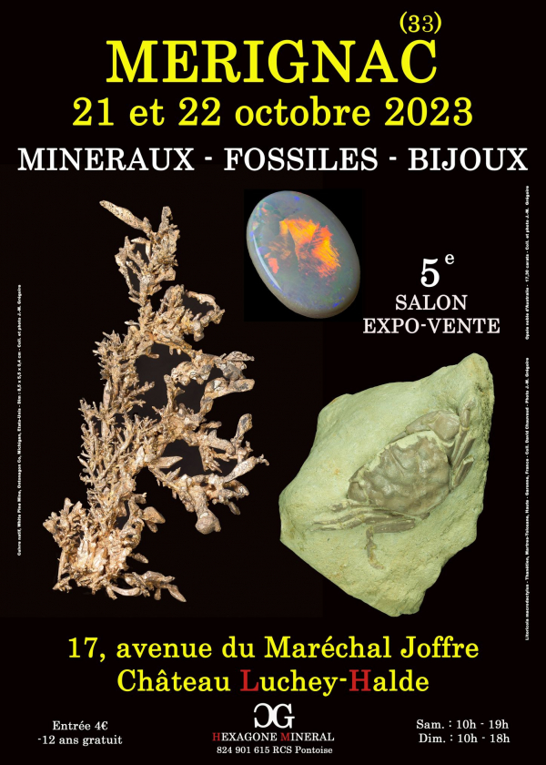 5a Fiera dei gioielli fossili minerali a MERIGNAC (Gironda)