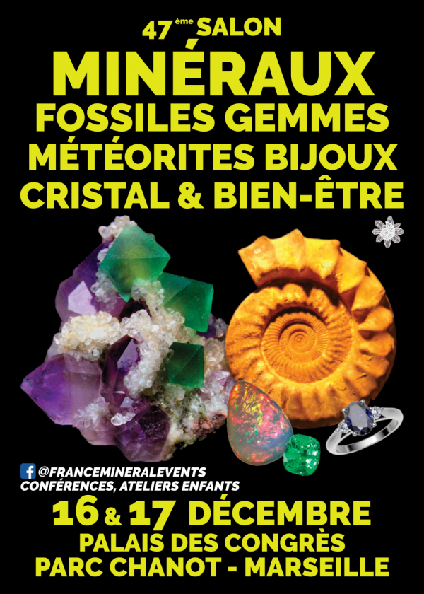 47° Salone dei Minerali, Fossili, Gemme e Gioielli di Marsiglia