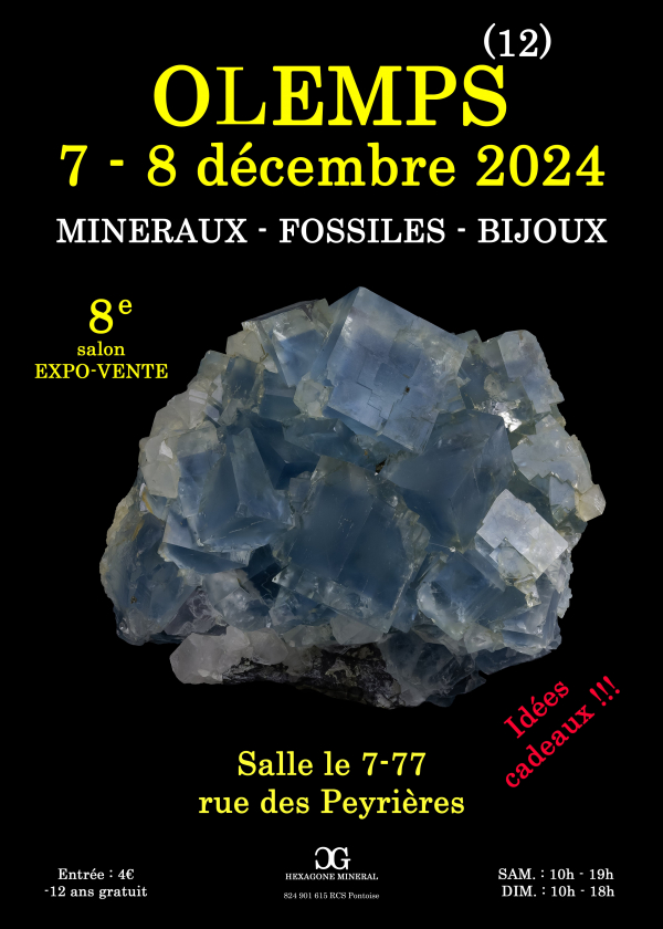 8a MOSTRA DI GIOIELLERIA MINERALI FOSSILI