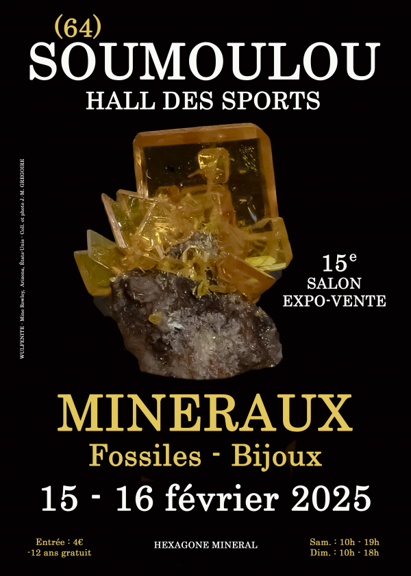 15a mostra di gioielli fossili minerali di Soumoulou