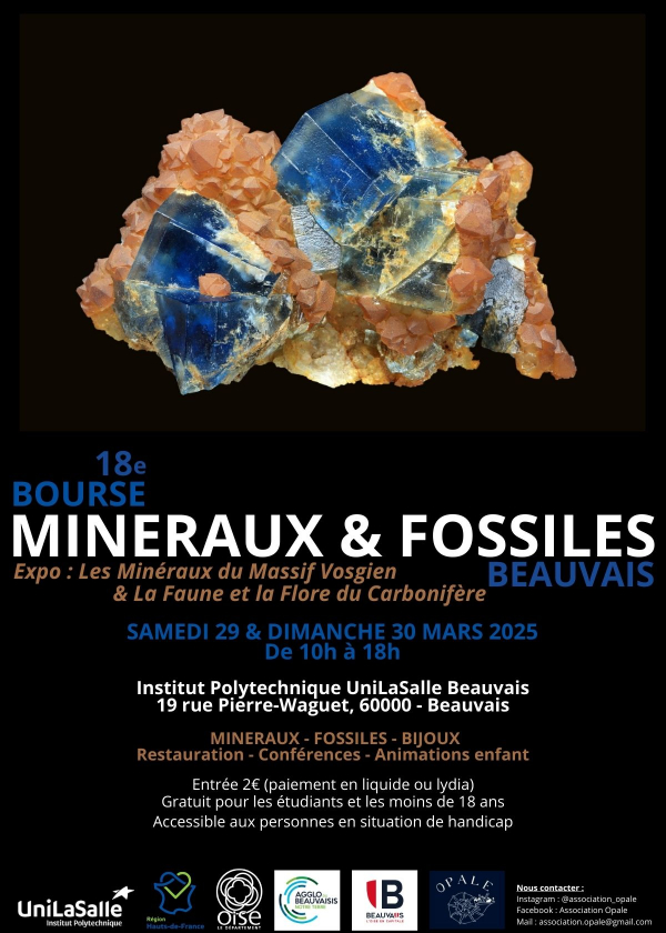 Scambio di minerali e fossili di Beauvais (18a edizione)