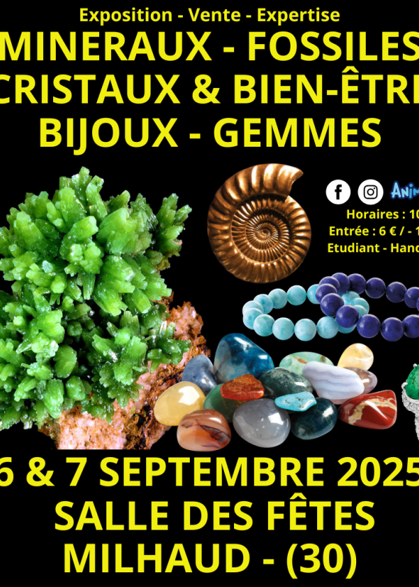 Fiera dei minerali, fossili, cristalli e gioielli e gemme per il benessere a Nîmes Fiera dei minerali, fossili, cristalli e gioielli e gemme per il benessere a Nîmes