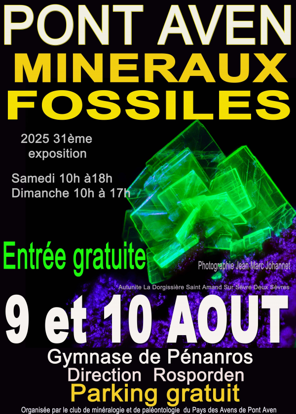 Esposizione, vendita e scambio di minerali e fossili Esposizione, vendita e scambio di minerali e fossili
