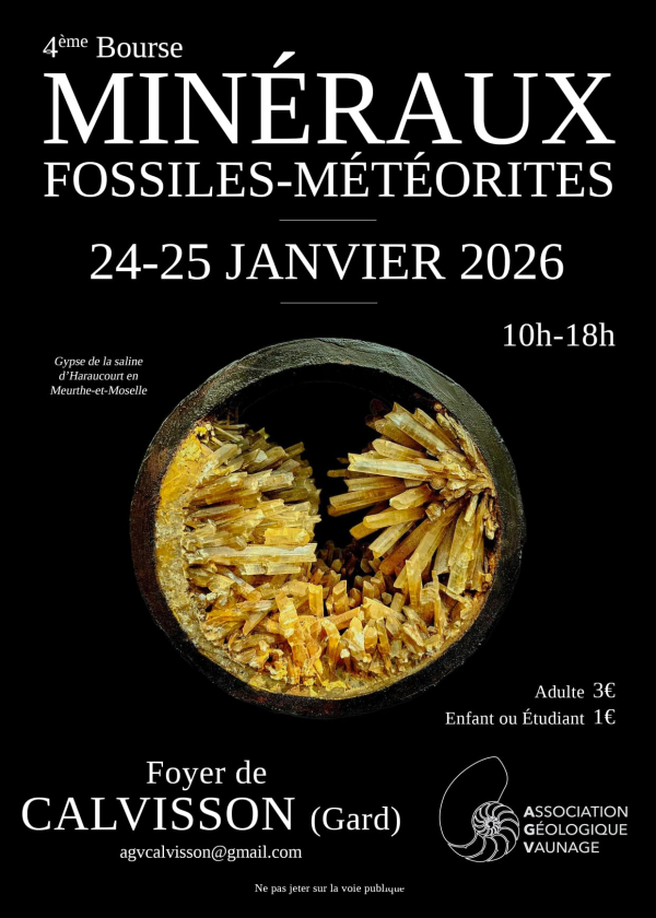 4a Fiera dei minerali, dei fossili e dei meteoriti
