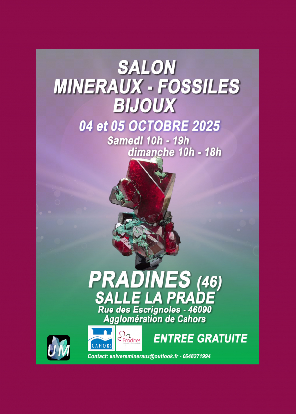 Mostra di minerali, fossili e gioielli di design.
