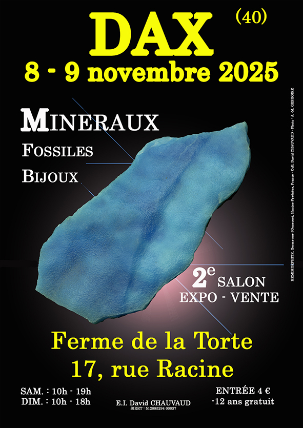 2° MOSTRA DI MINERALI E FOSSILI 2° MOSTRA DI MINERALI E FOSSILI