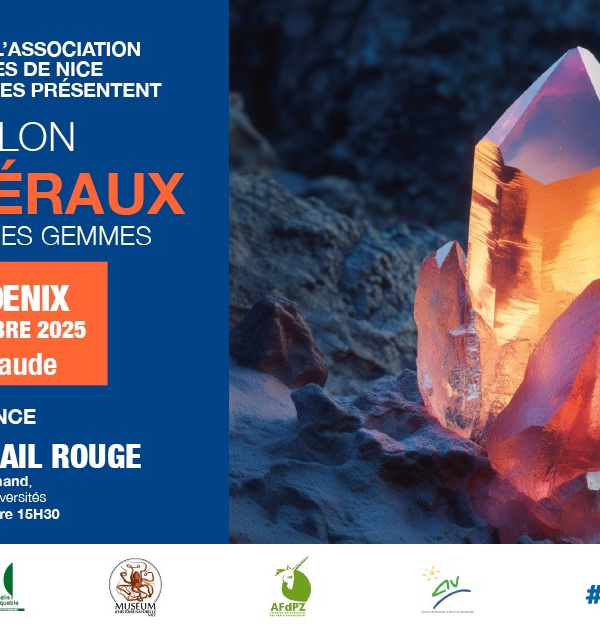 40° Mostra di minerali, fossili e pietre preziose