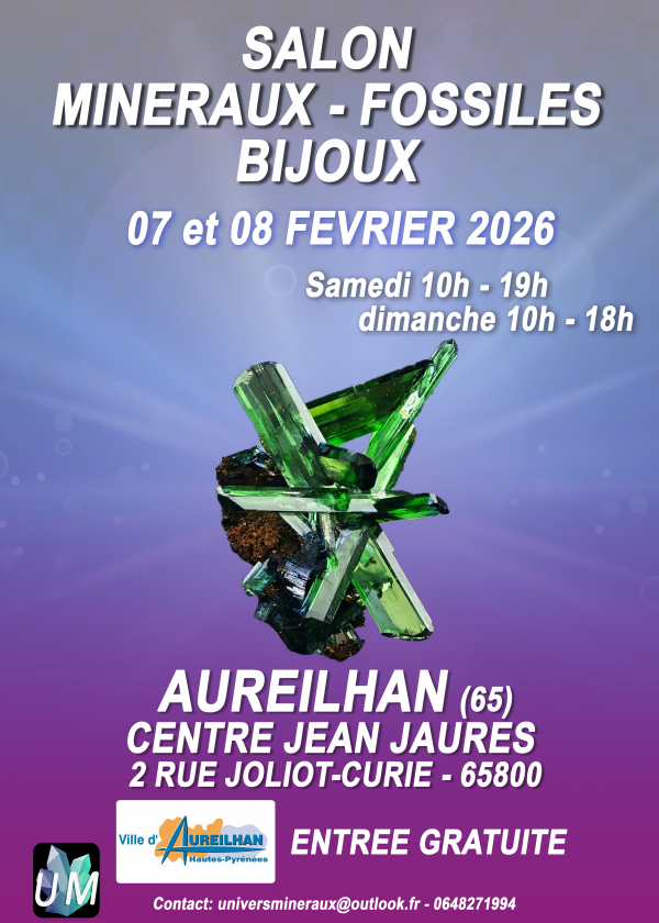 Mostra di minerali, fossili e gioielli firmati.