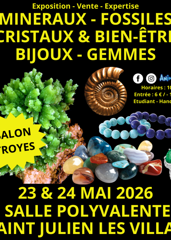 2a Fiera dei Minerali e dei Fossili di Troyes