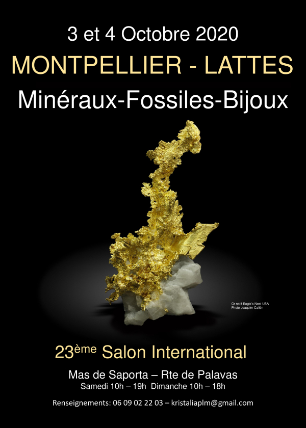 Scambio internazionale Minerali Fossili tagliano pietre Lattes Montpellier