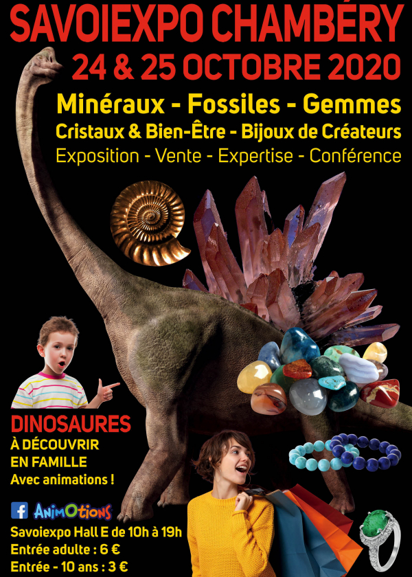 Minéralexpo Chambéry Minerali Fossili Gemme