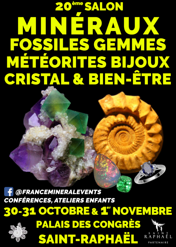 20th Salon MinéralEvent Saint-Raphaël - Minerali, gemme, fossili e gioielli