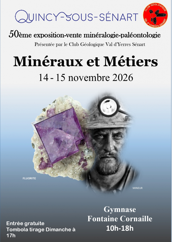Fiera dei minerali e dei fossili di Quincy-Sous-Senart