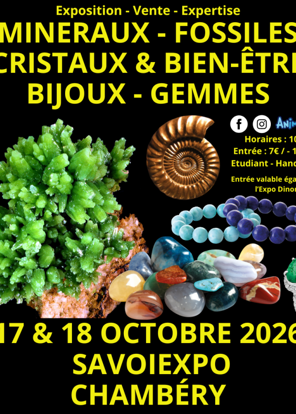 7ª Fiera dei Minerali, Fossili e Cristalli