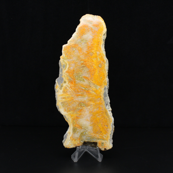 Placca di diaspro a forma di bombo dall'Indonesia