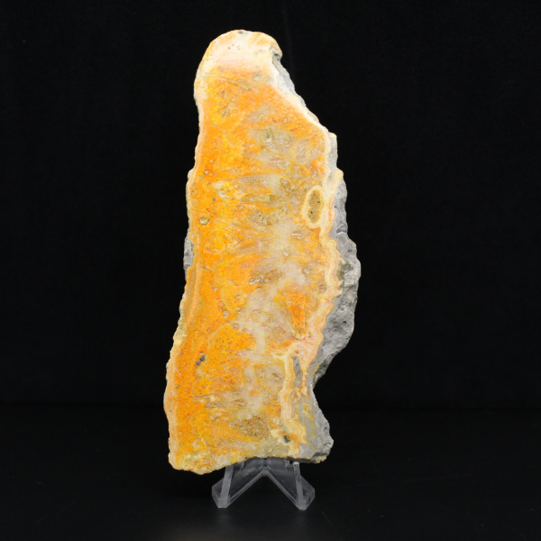 Placca di diaspro a forma di bombo dall'Indonesia