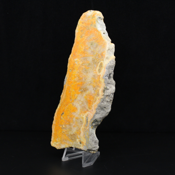 Placca di diaspro a forma di bombo dall'Indonesia