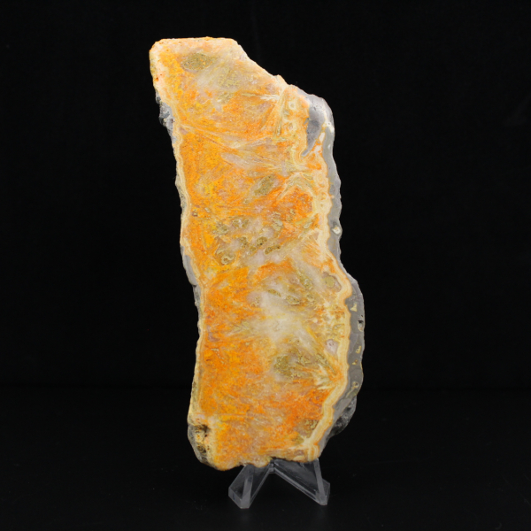 Fetta spessa di diaspro calabrone indonesiano