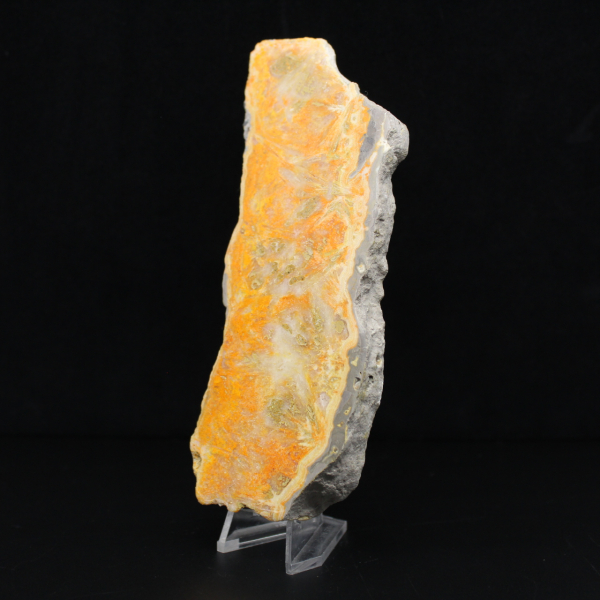 Fetta spessa di diaspro calabrone indonesiano