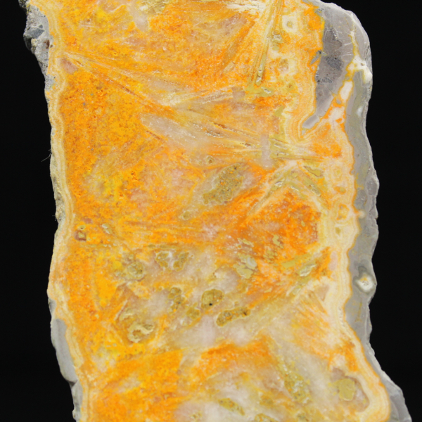 Fetta spessa di diaspro calabrone indonesiano