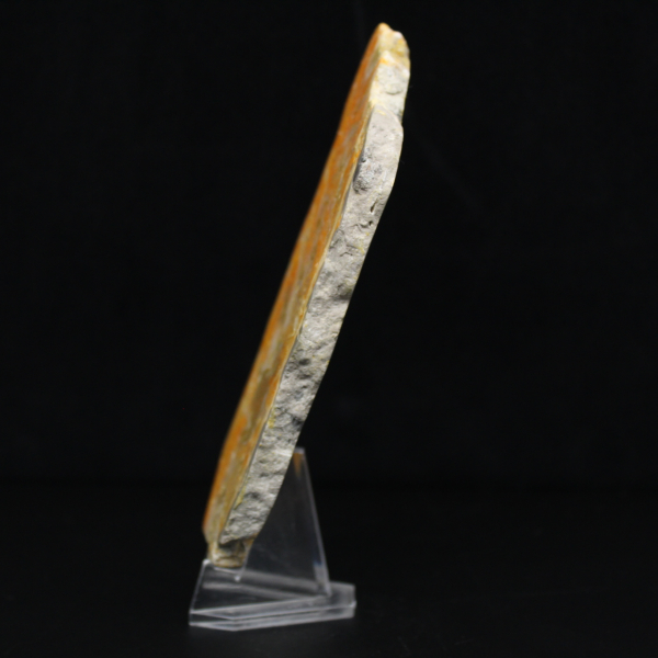 Esemplare di diaspro calabrone vulcanico lucidato