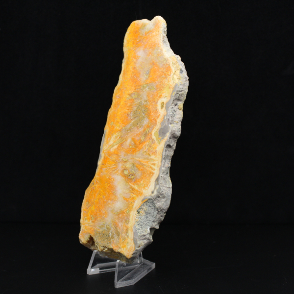 Fetta di diaspro a forma di calabrone - Qualità da collezione