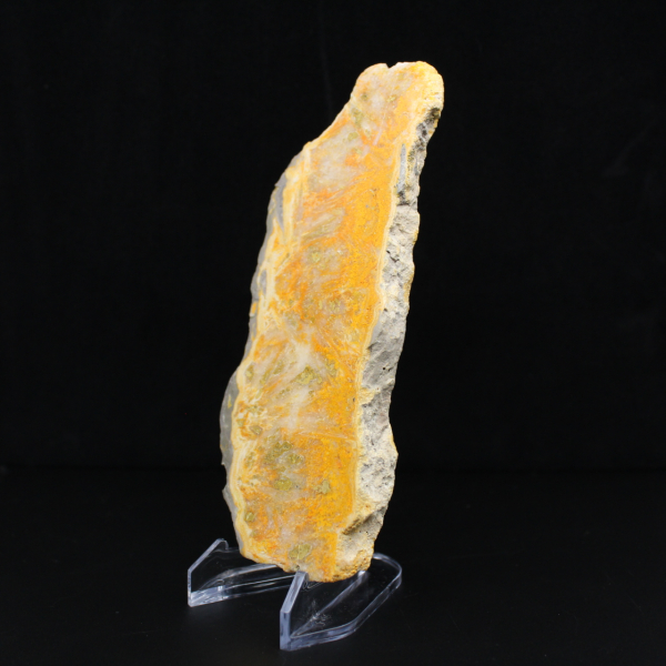 Fetta di diaspro a forma di calabrone - Qualità da collezione