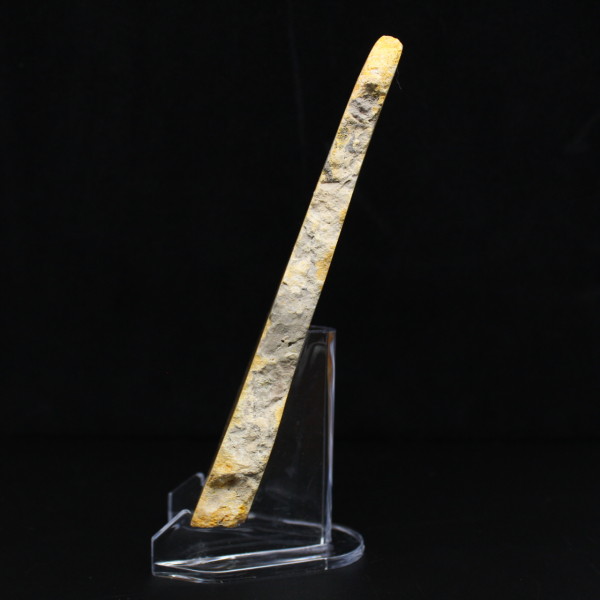 Fetta di diaspro a forma di calabrone - Qualità da collezione