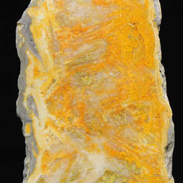 Fetta di diaspro a forma di calabrone - Qualità da collezione