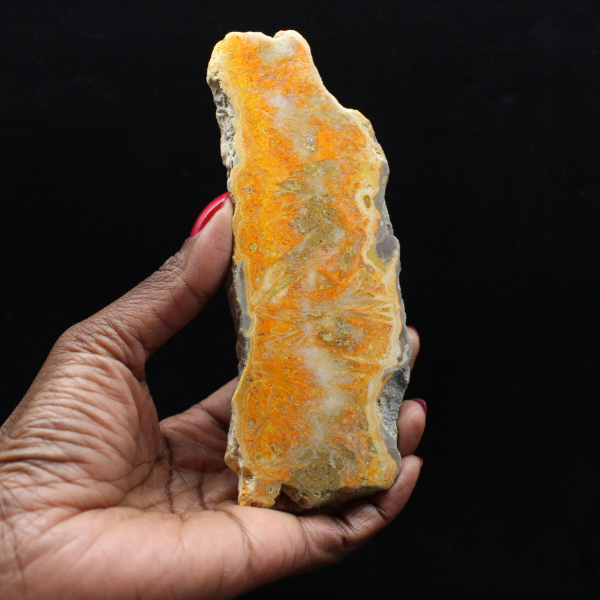 Fetta di diaspro a forma di calabrone - Qualità da collezione