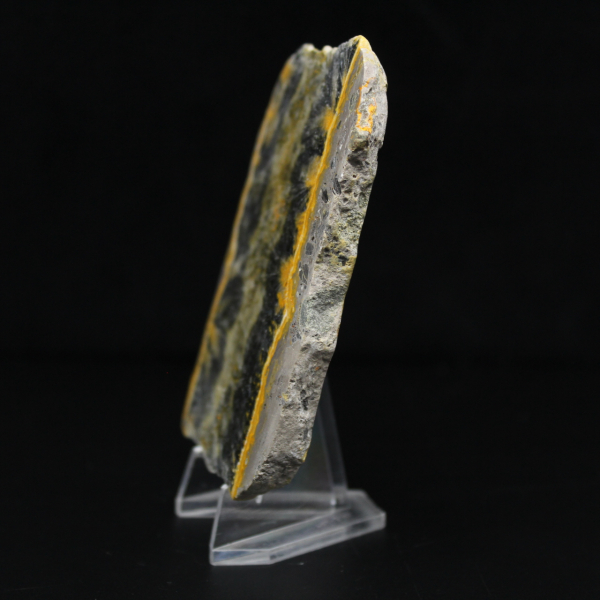 Piccolo esemplare affettato di Jasper Bumblebee