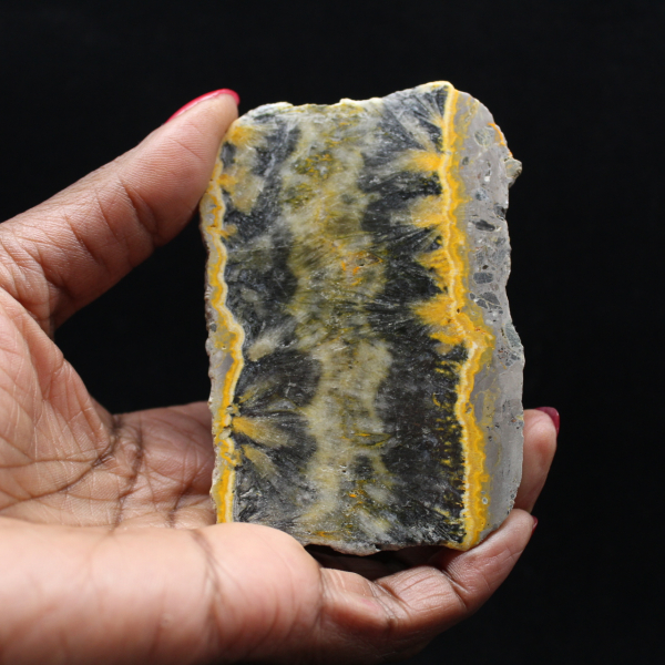 Piccolo esemplare affettato di Jasper Bumblebee