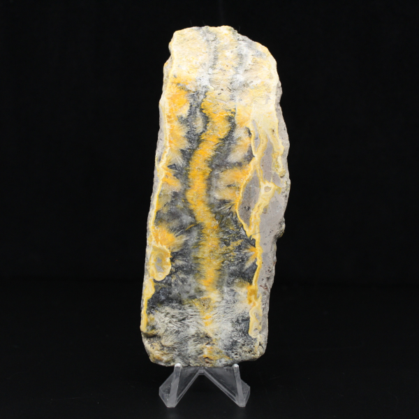 Bumblebee Jasper: fetta mineralogica di Giava