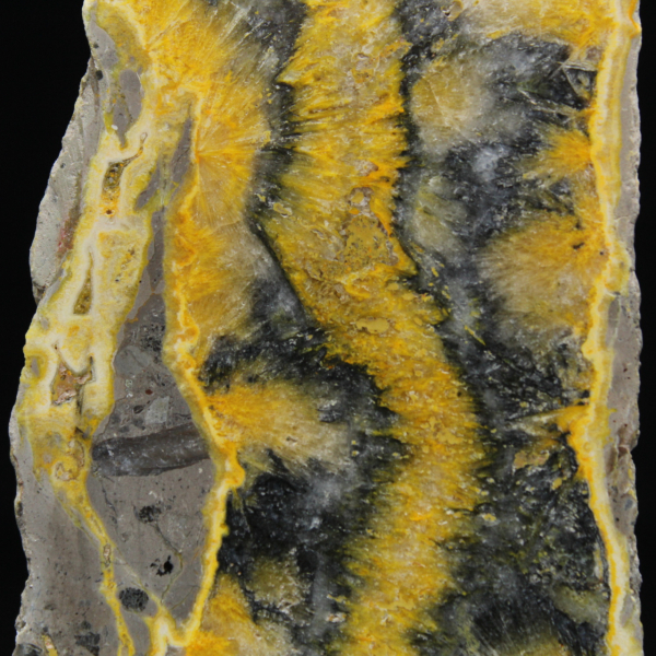 Bumblebee Jasper: fetta mineralogica di Giava