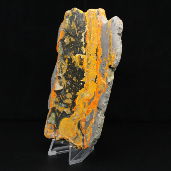 Jasper calabrone indonesiano: grande lastra lucidata