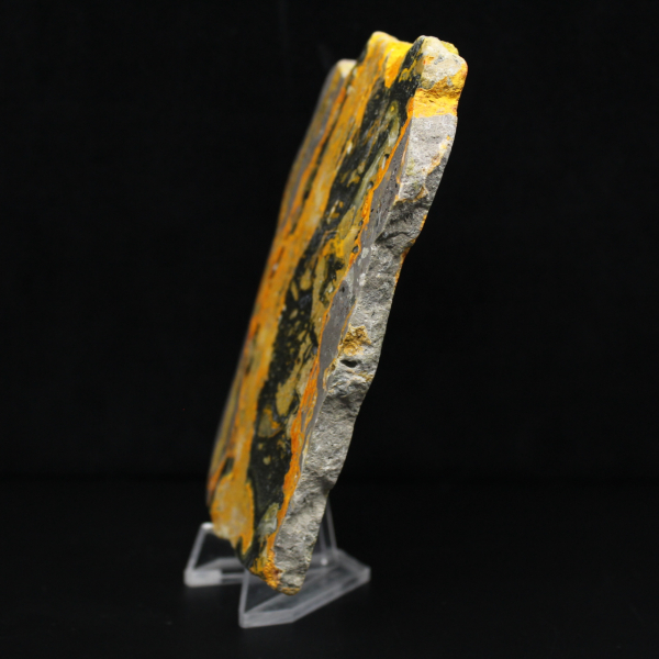 Jasper calabrone indonesiano: grande lastra lucidata